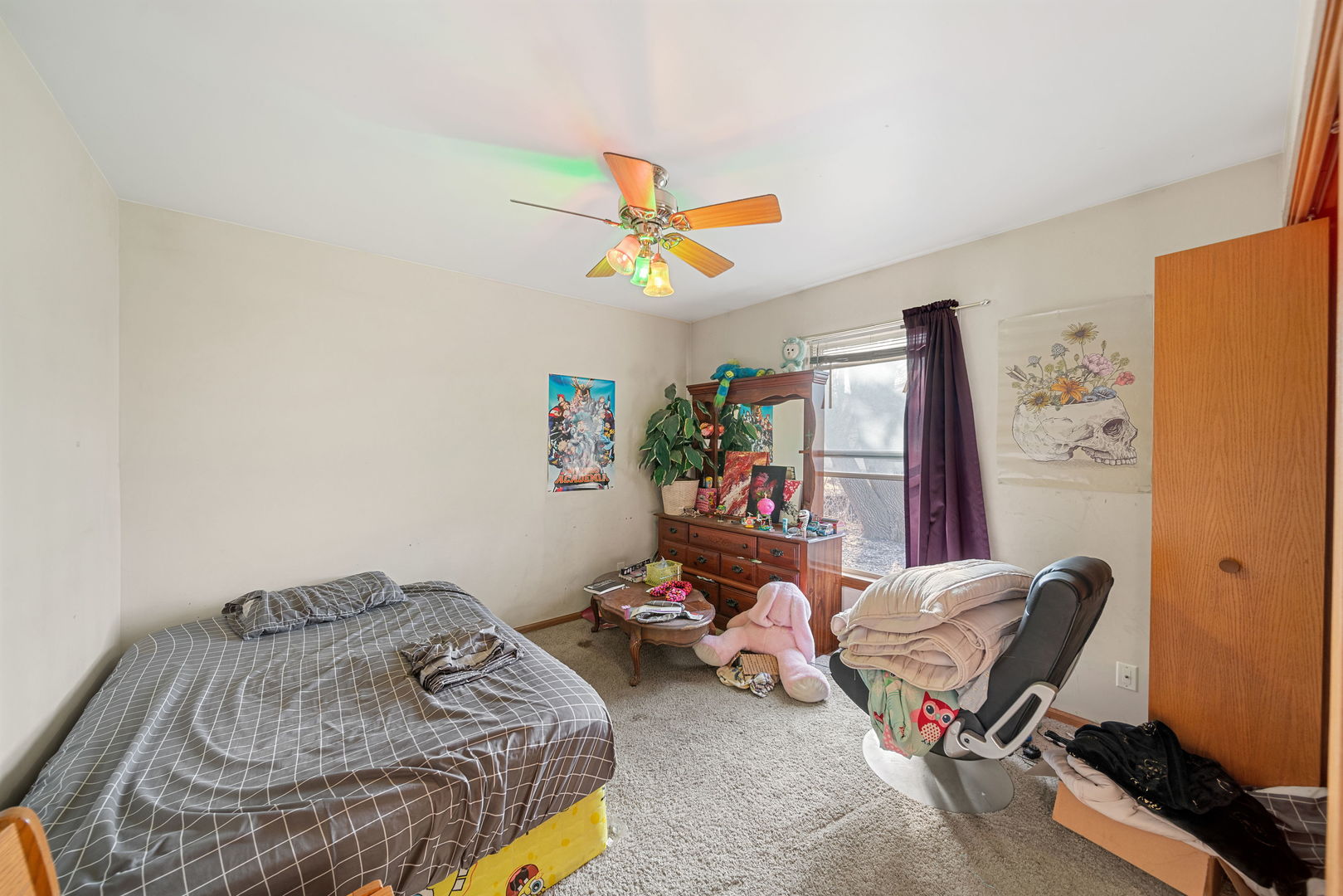 257 Ellen Street Property Photo 15