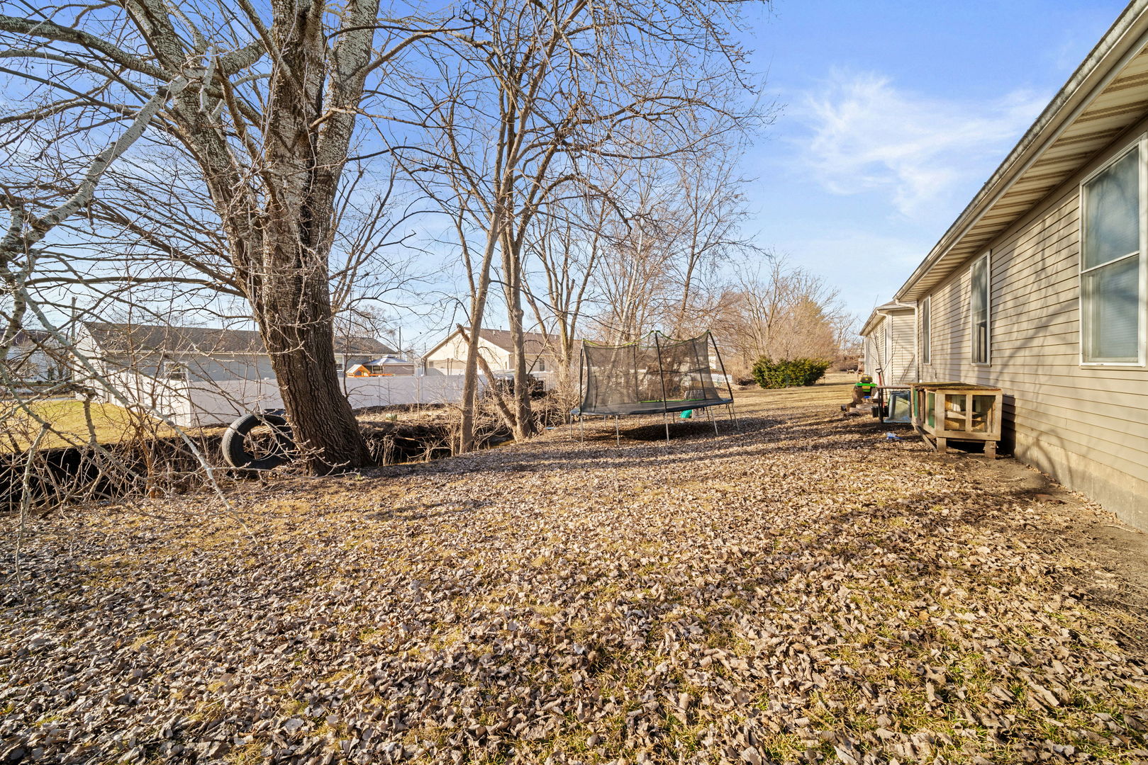 257 Ellen Street Property Photo 17