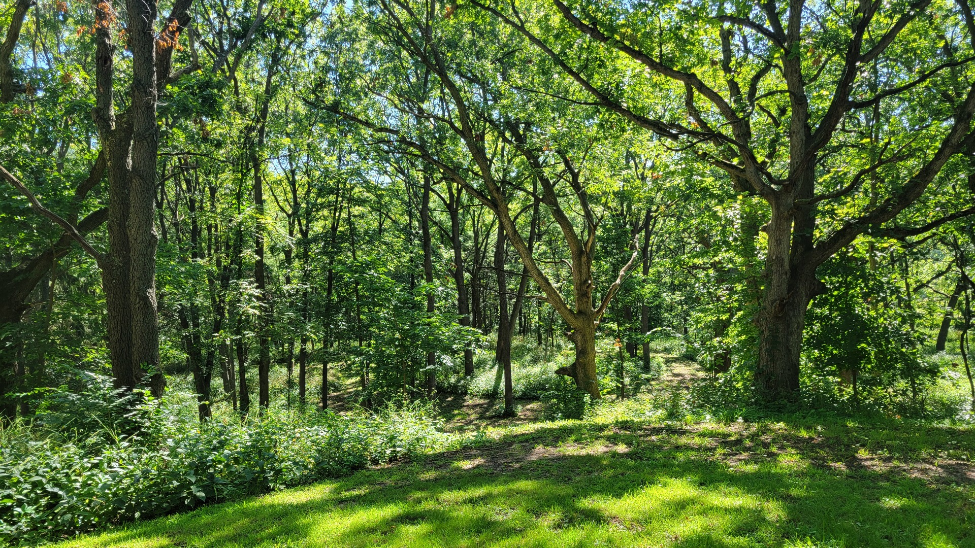 116 N Ridge Road Property Photo 49