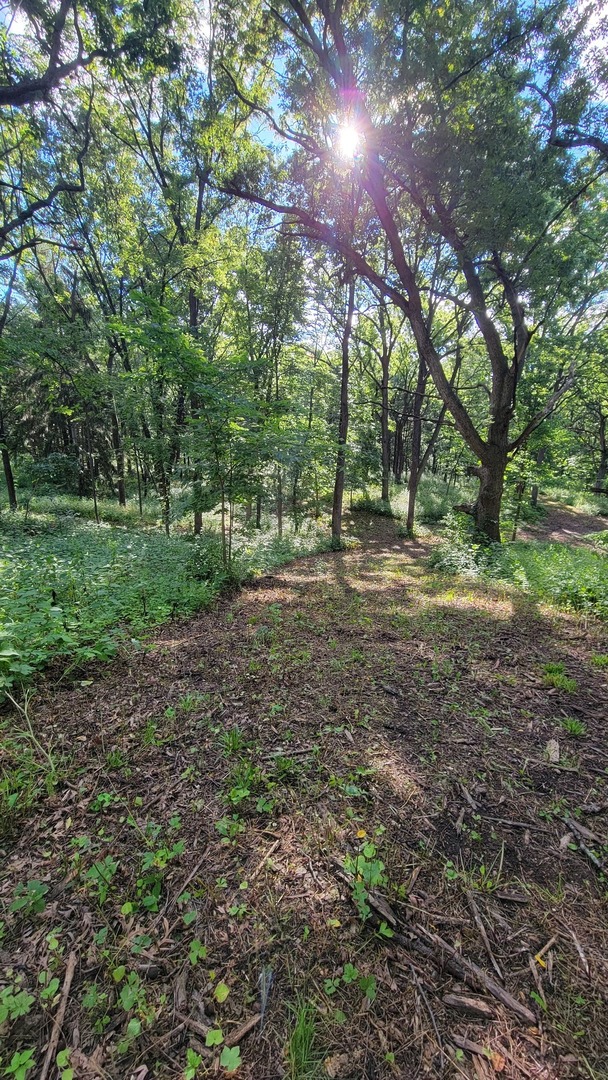 116 N Ridge Road Property Photo 51