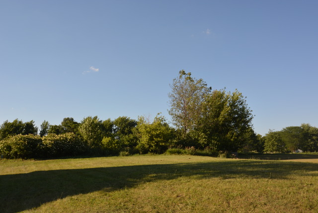 321 Pine Street Property Photo