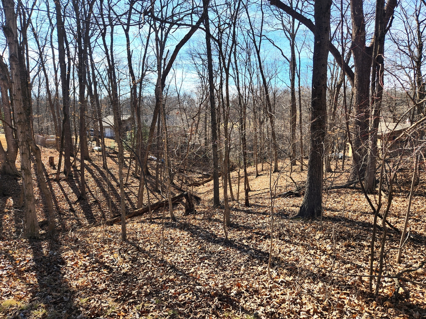 Lot 1673 Lakeside Court Property Photo