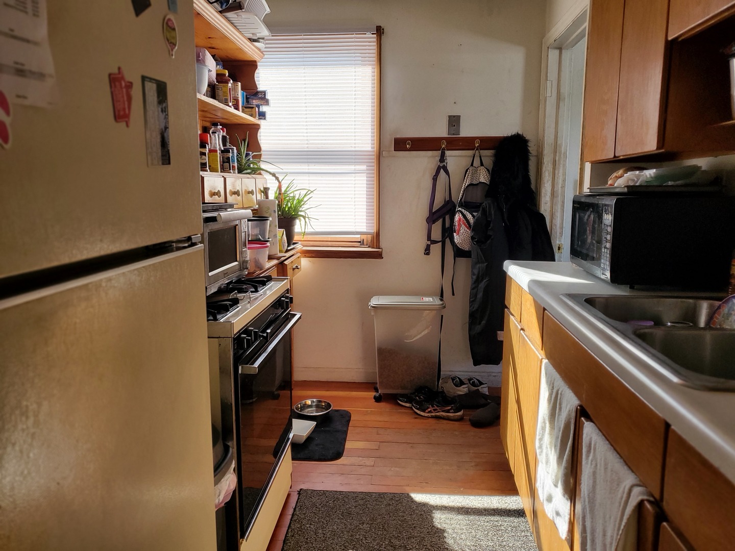 782-786 Campbell Avenue Property Photo 19