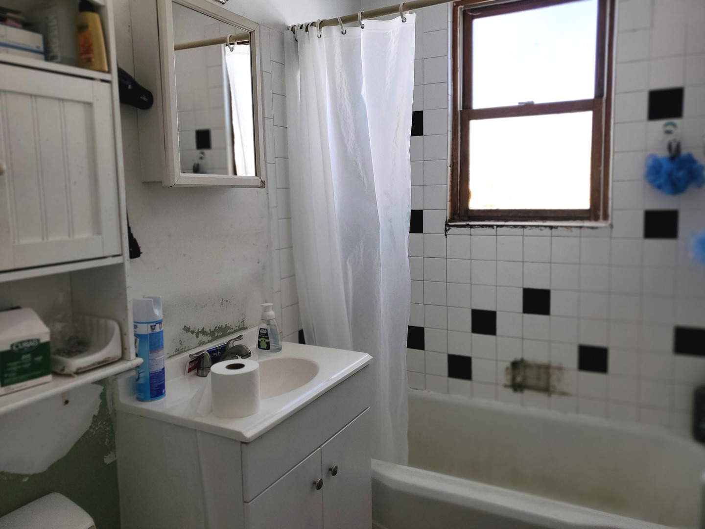 782-786 Campbell Avenue Property Photo 20