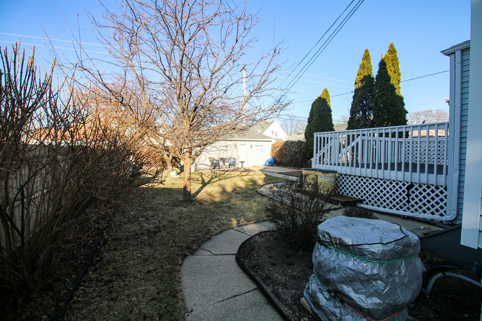 903 Wilcox Street Property Photo 22