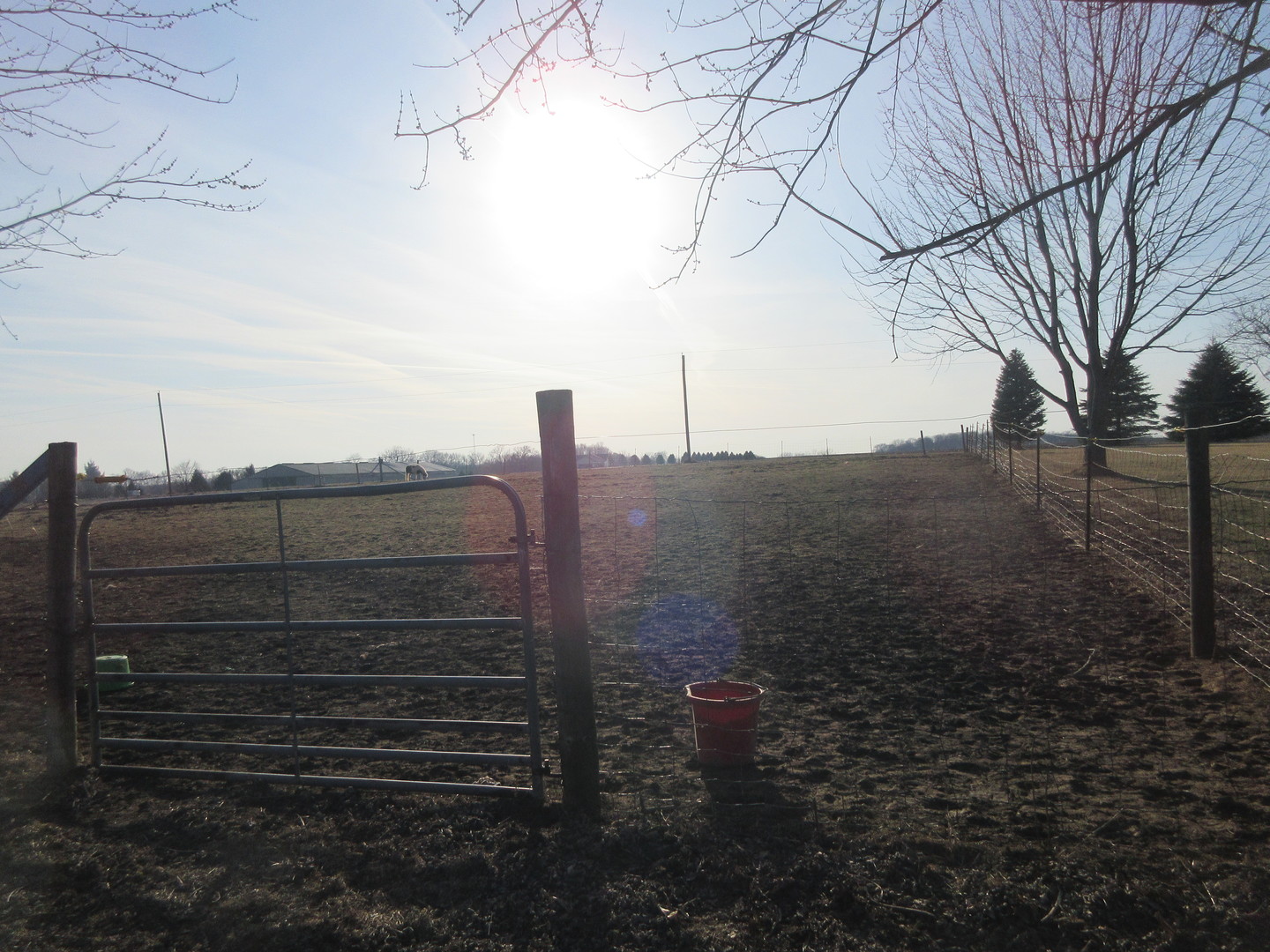 22340 Blue Goose Road Property Photo 18
