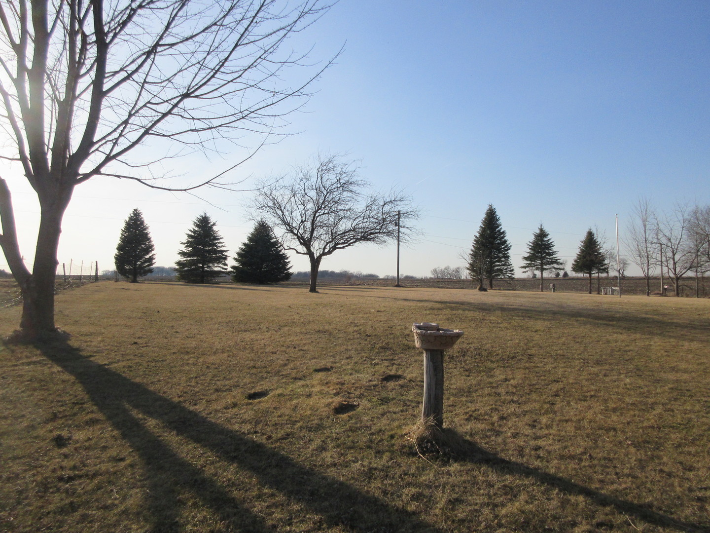 22340 Blue Goose Road Property Photo 19