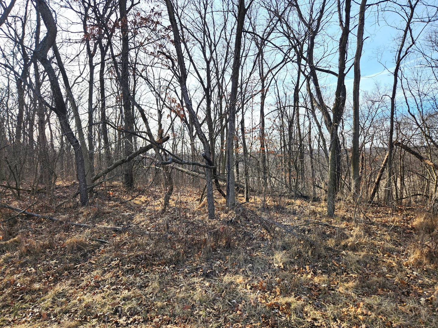 Lot 1356 Green Valley Drive Property Photo