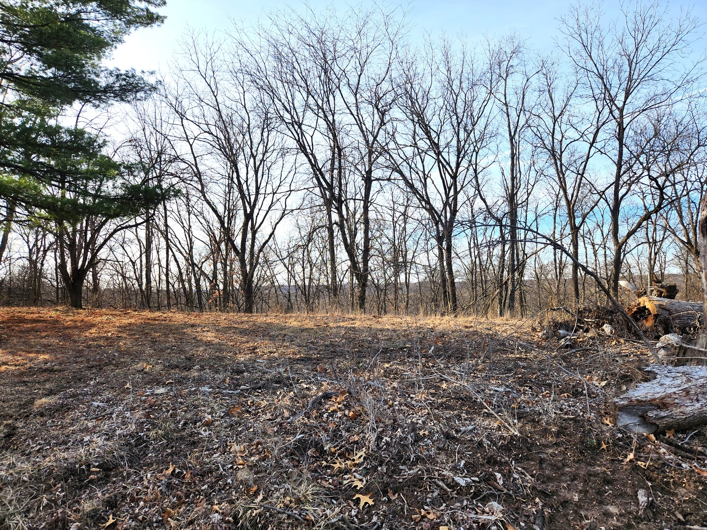 Lot 1357 Green Valley Drive Property Photo