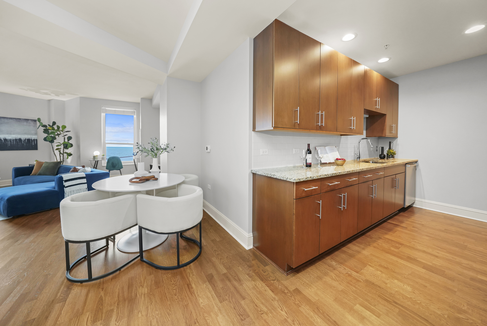 850 N Lake Shore Drive 506 Property Photo 6