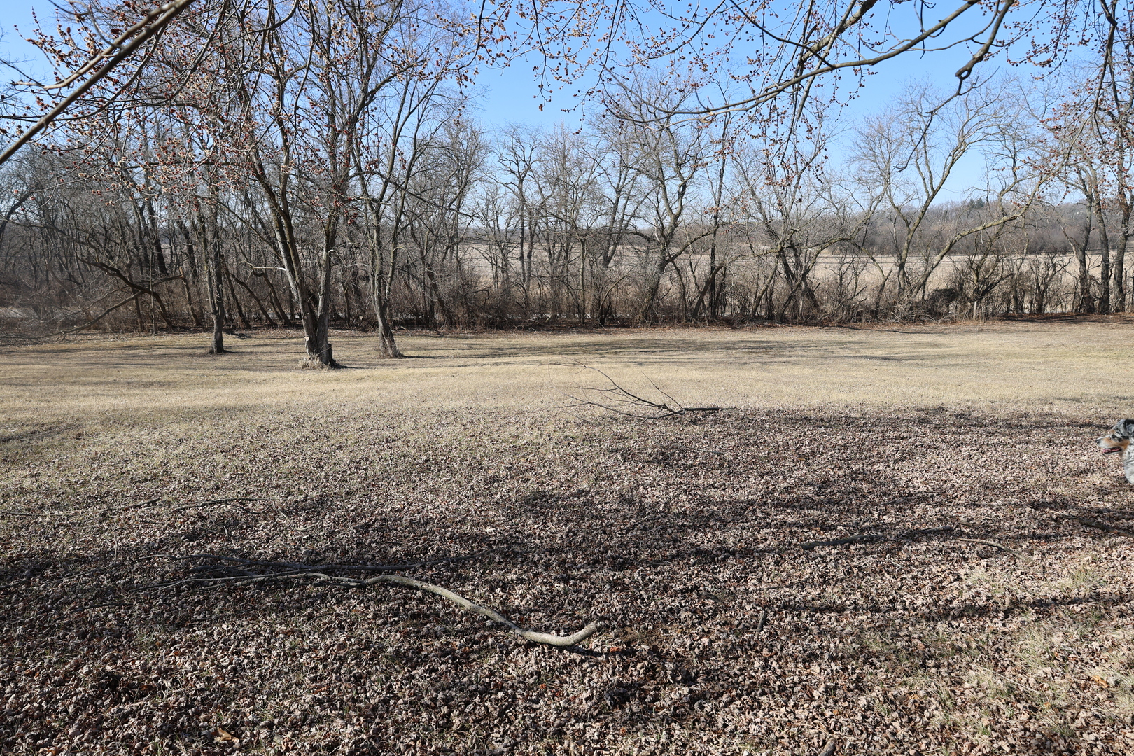 2508 S Justen Road Property Photo 33
