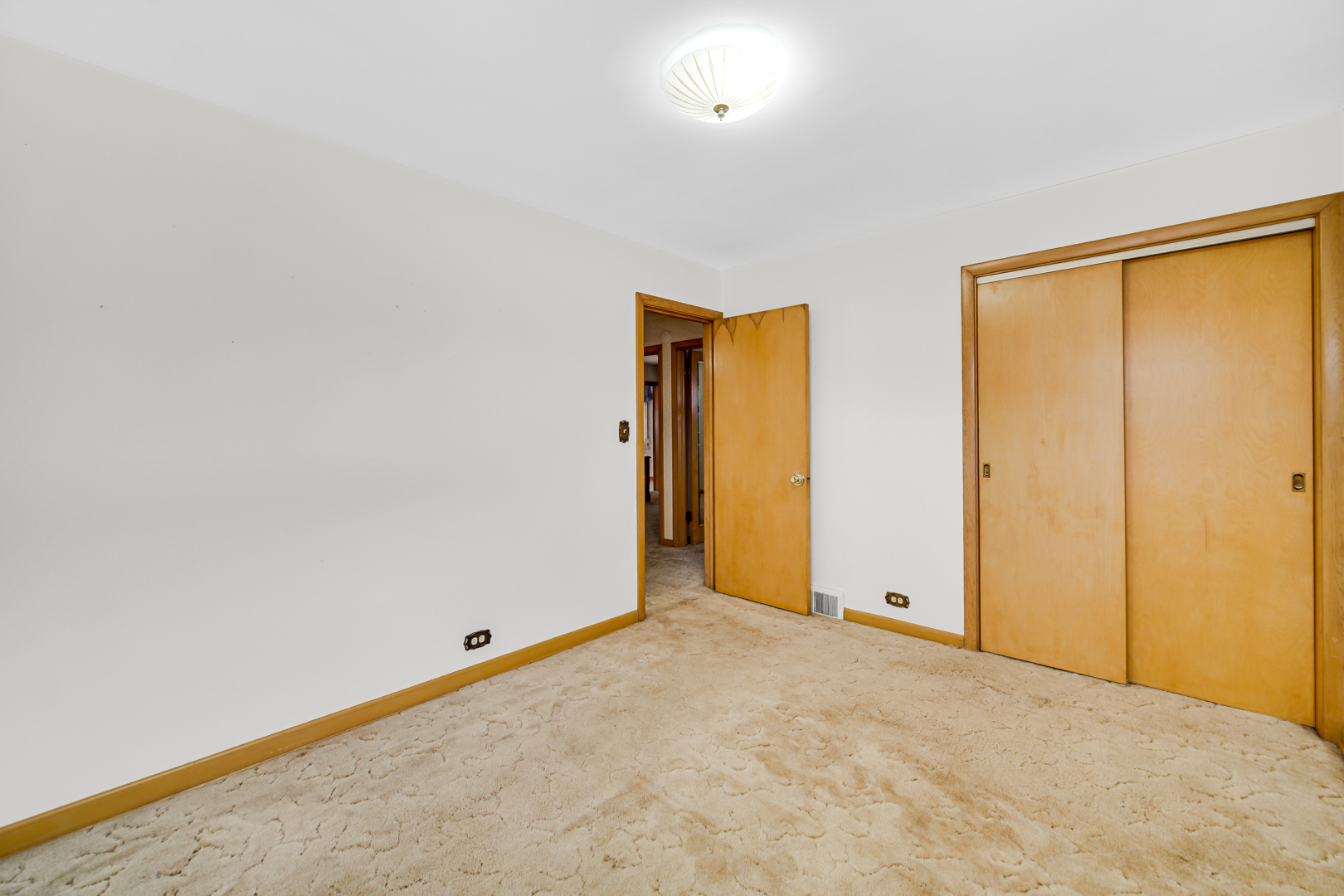 203 S Waterman Avenue Property Photo 13