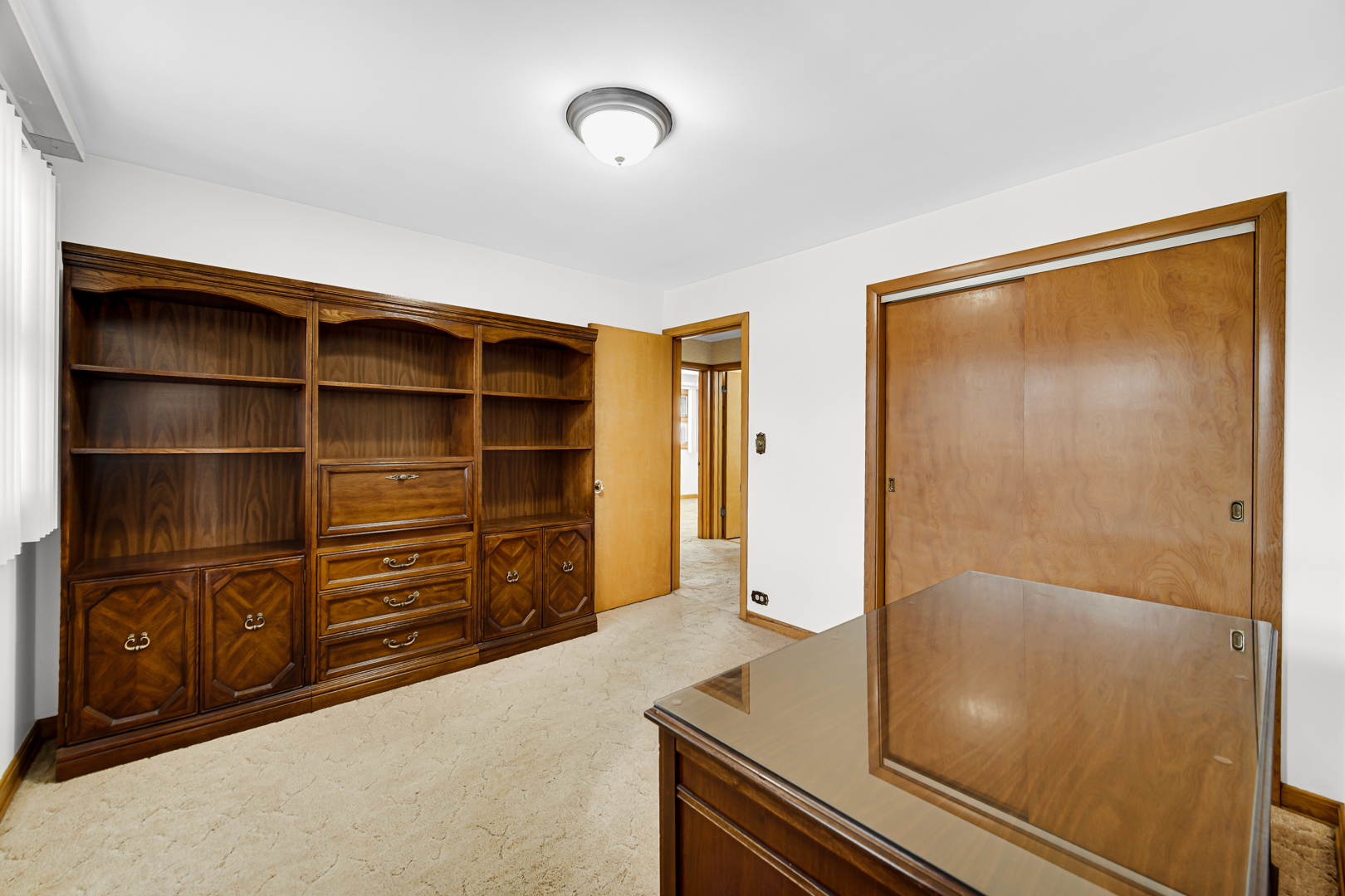 203 S Waterman Avenue Property Photo 16