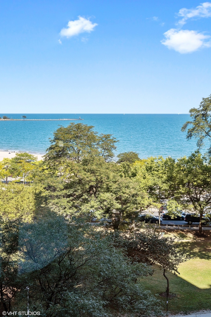 179 E Lake Shore Drive 603 Property Photo 9