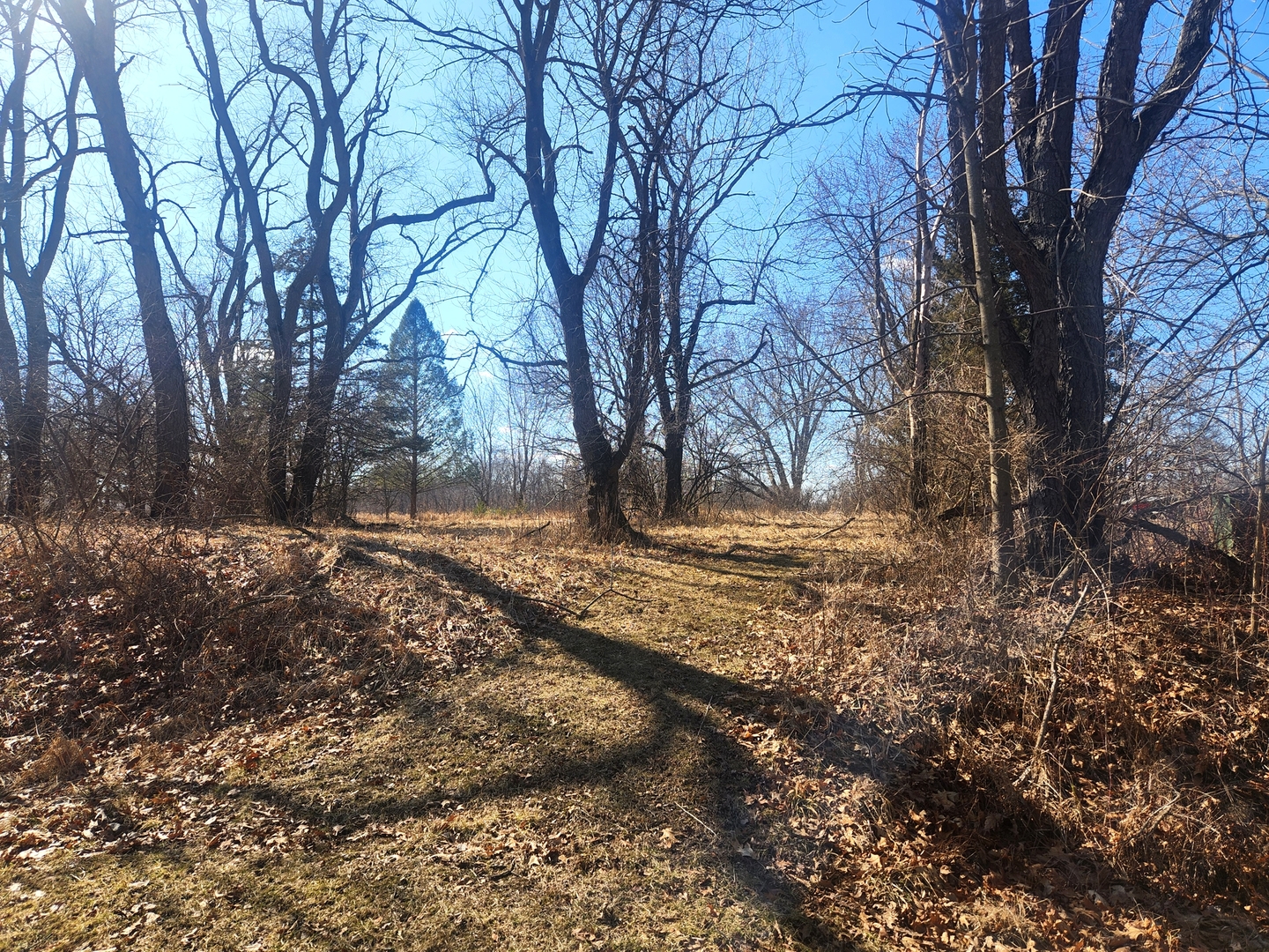 Lot 735 Brookside Drive Property Photo