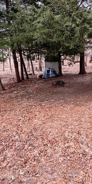 2/251 Woodhaven Property Photo 6