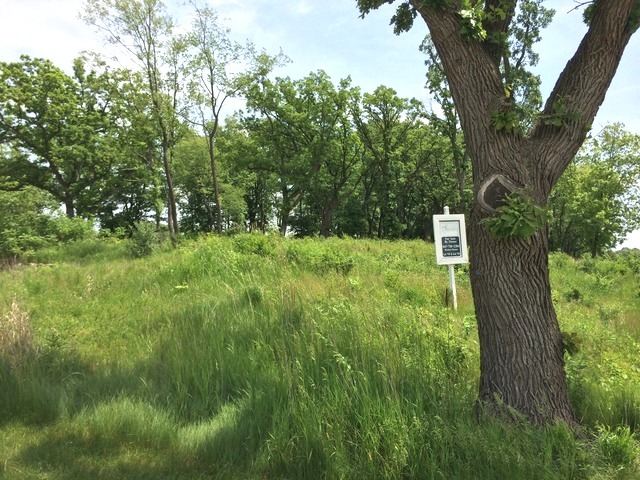 Lot 20 ,1221 Ridgemoor Trail Property Photo