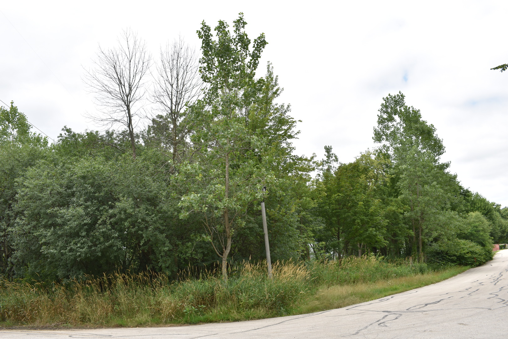 11665 Orchard Road Property Photo 3