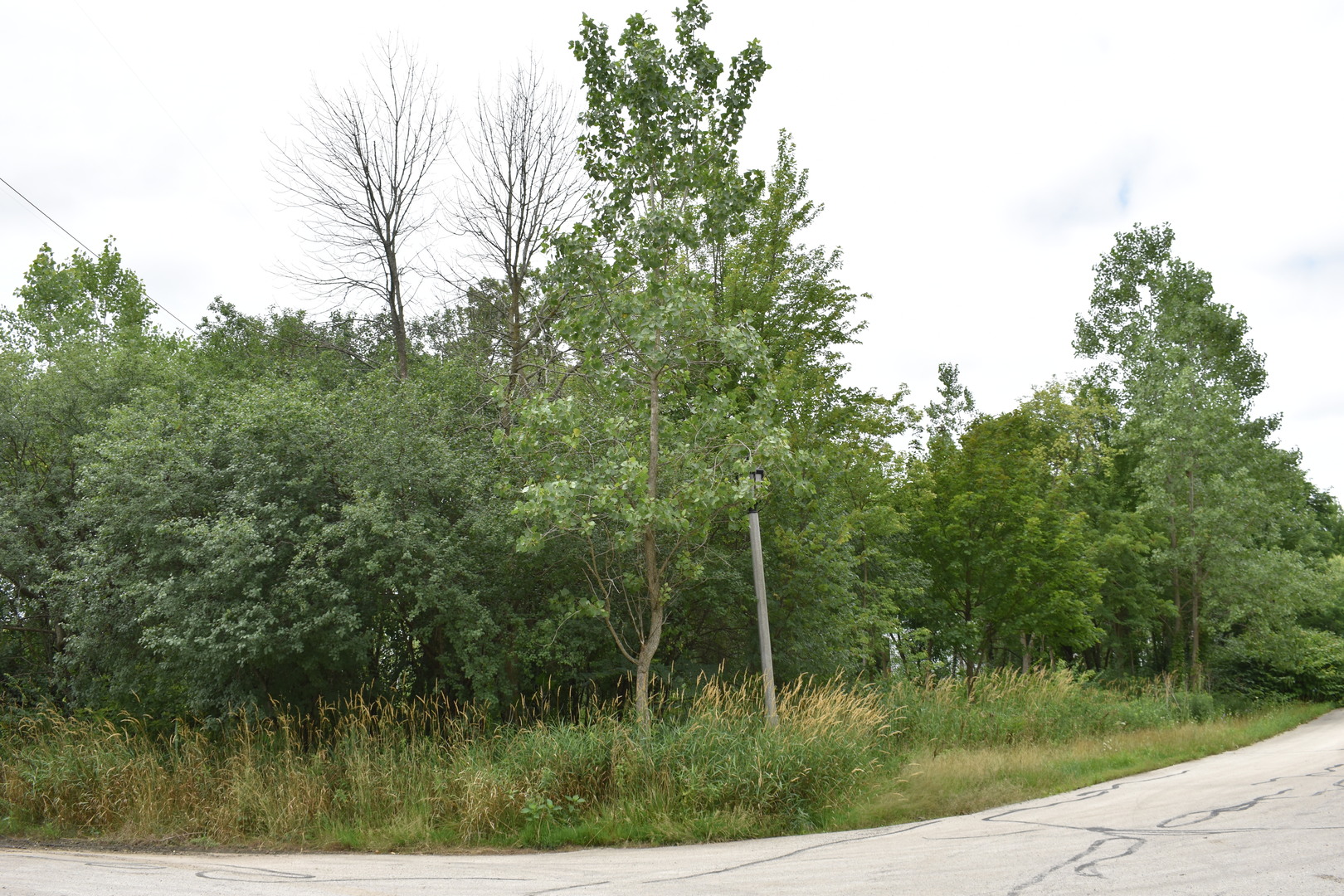 11665 Orchard Road Property Photo 4