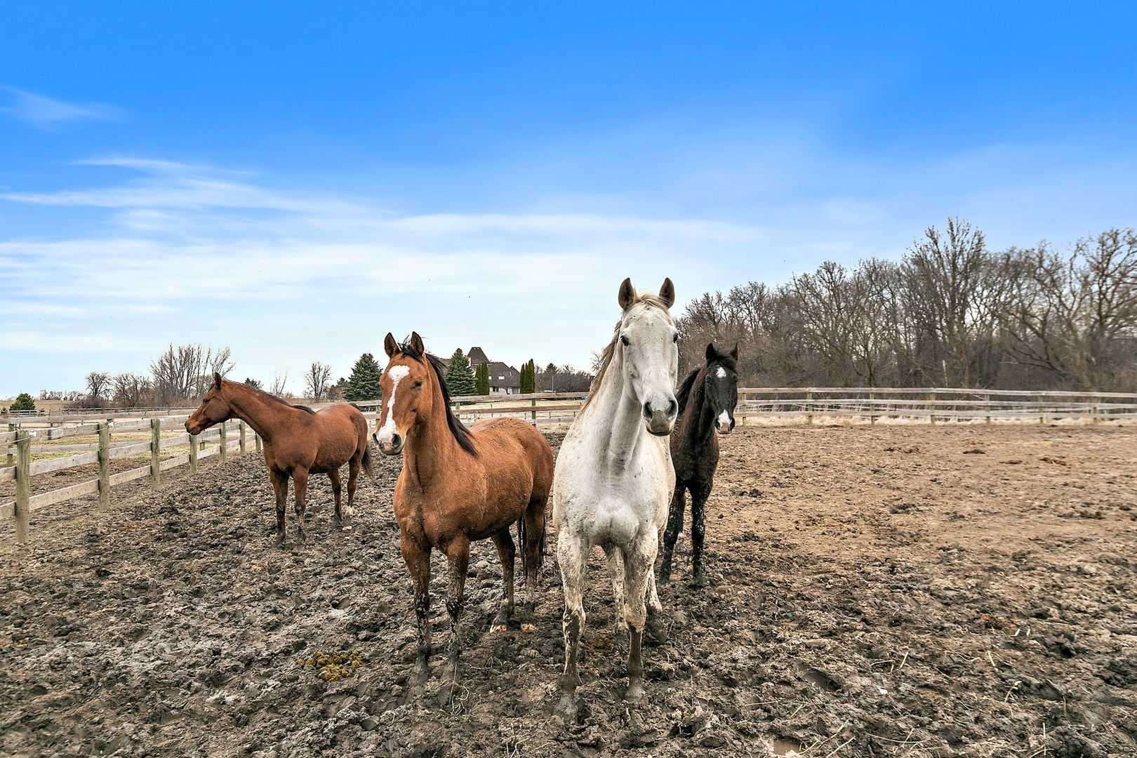 14n700 Factly Road Property Photo 35