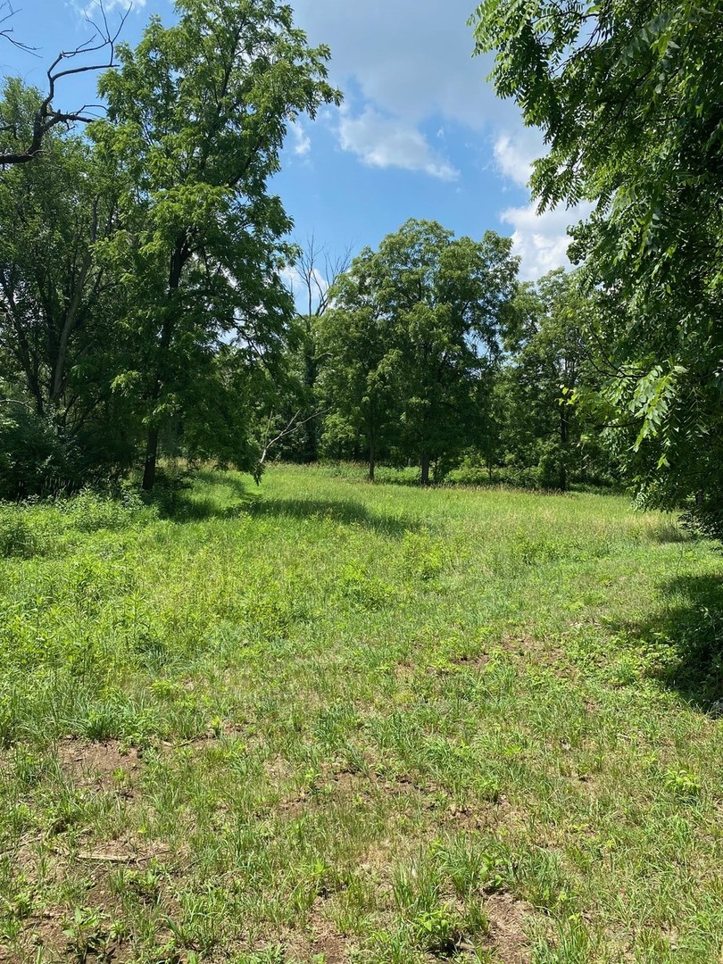 985 N Vine Street Property Photo 4