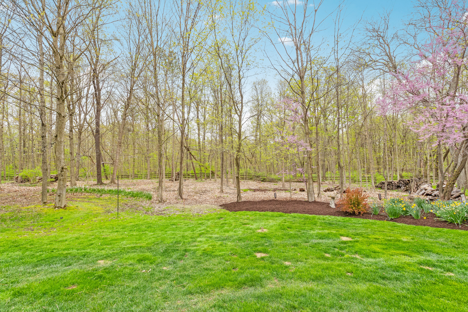 831 Alberosky Way Property Photo 56