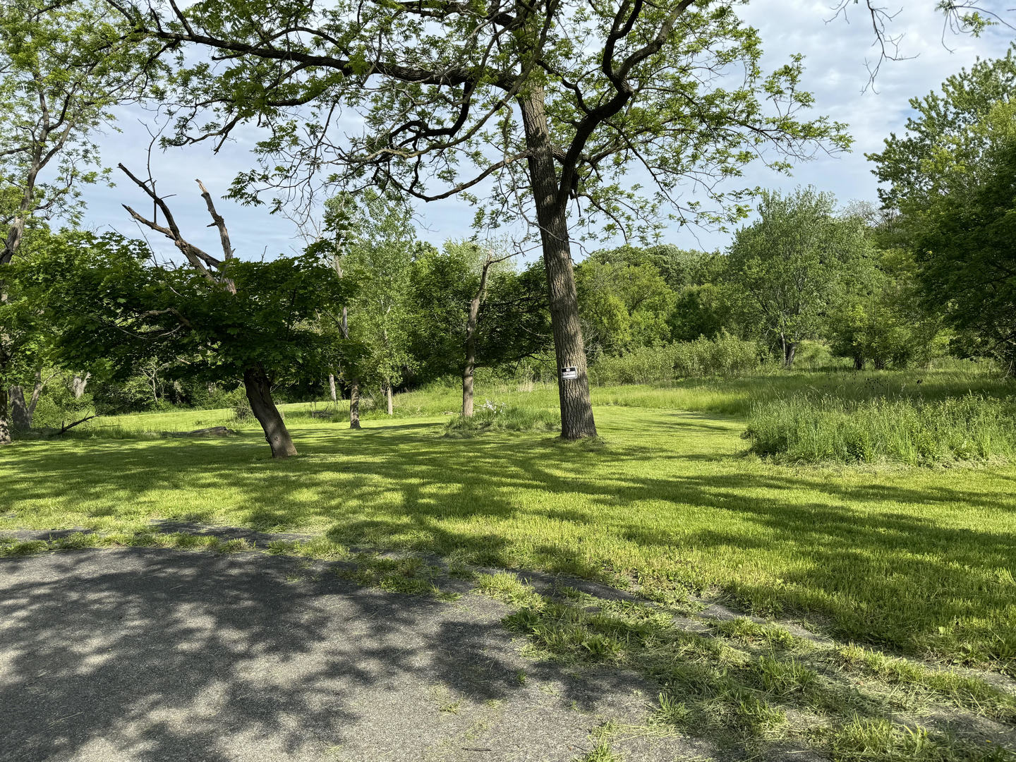 480 Saunders Road Property Photo 2