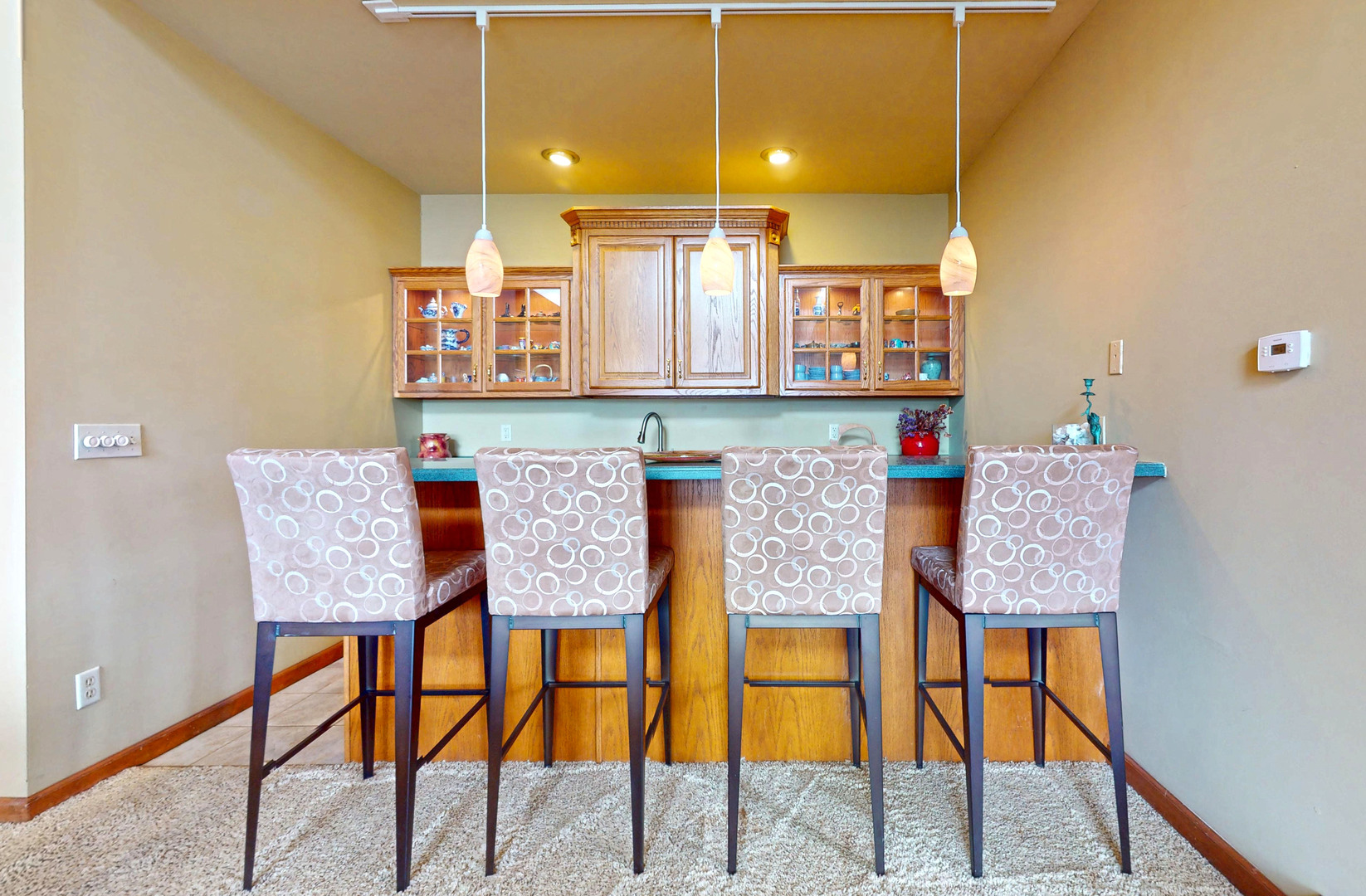 2903 Prairie Meadow Drive Property Photo 4