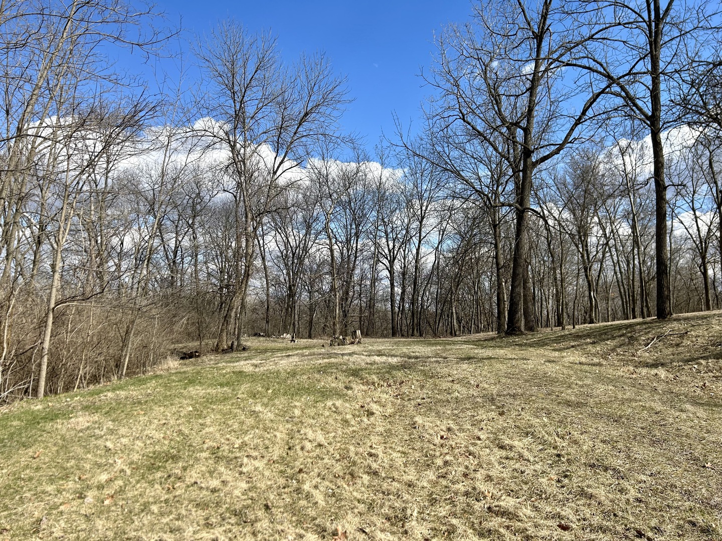 Lot 5 Thirty Foot Trail Road Property Photo 1