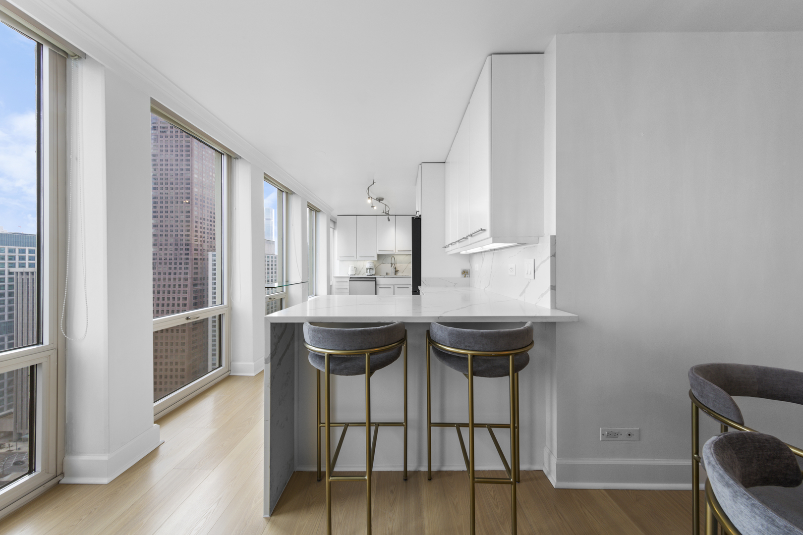 111 E Chestnut Street 38c Property Photo 5