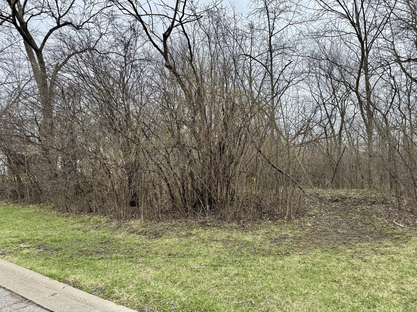 879 Campbell Avenue - Lot 006 Avenue Property Photo 1