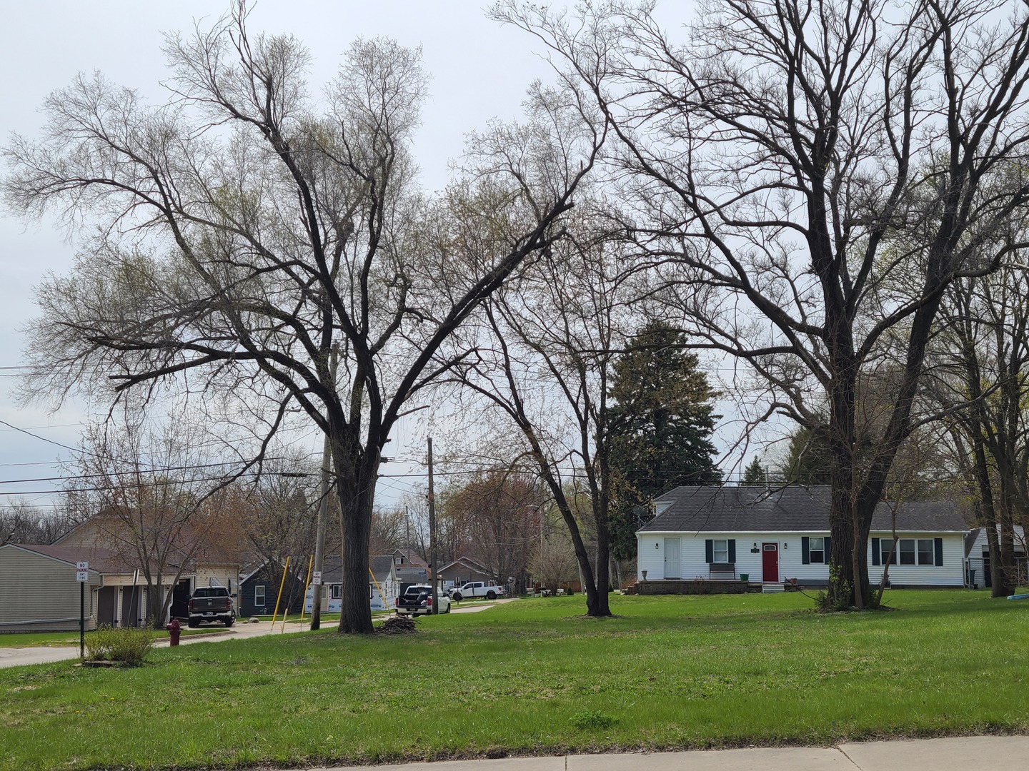 Lot 1 Watson Avenue Property Photo 1