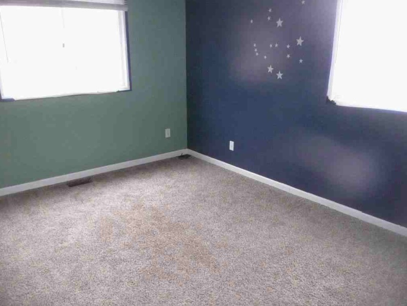 117 Liverpool Drive Property Photo 9