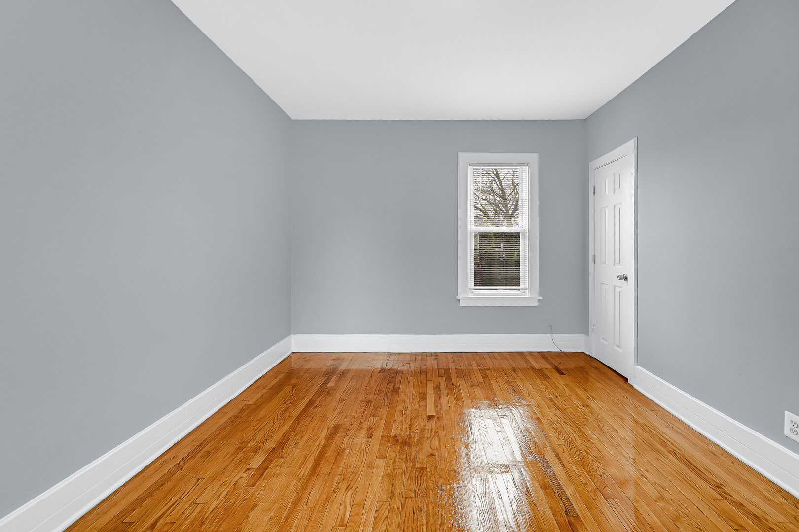 7010 S Morgan Street Property Photo 12