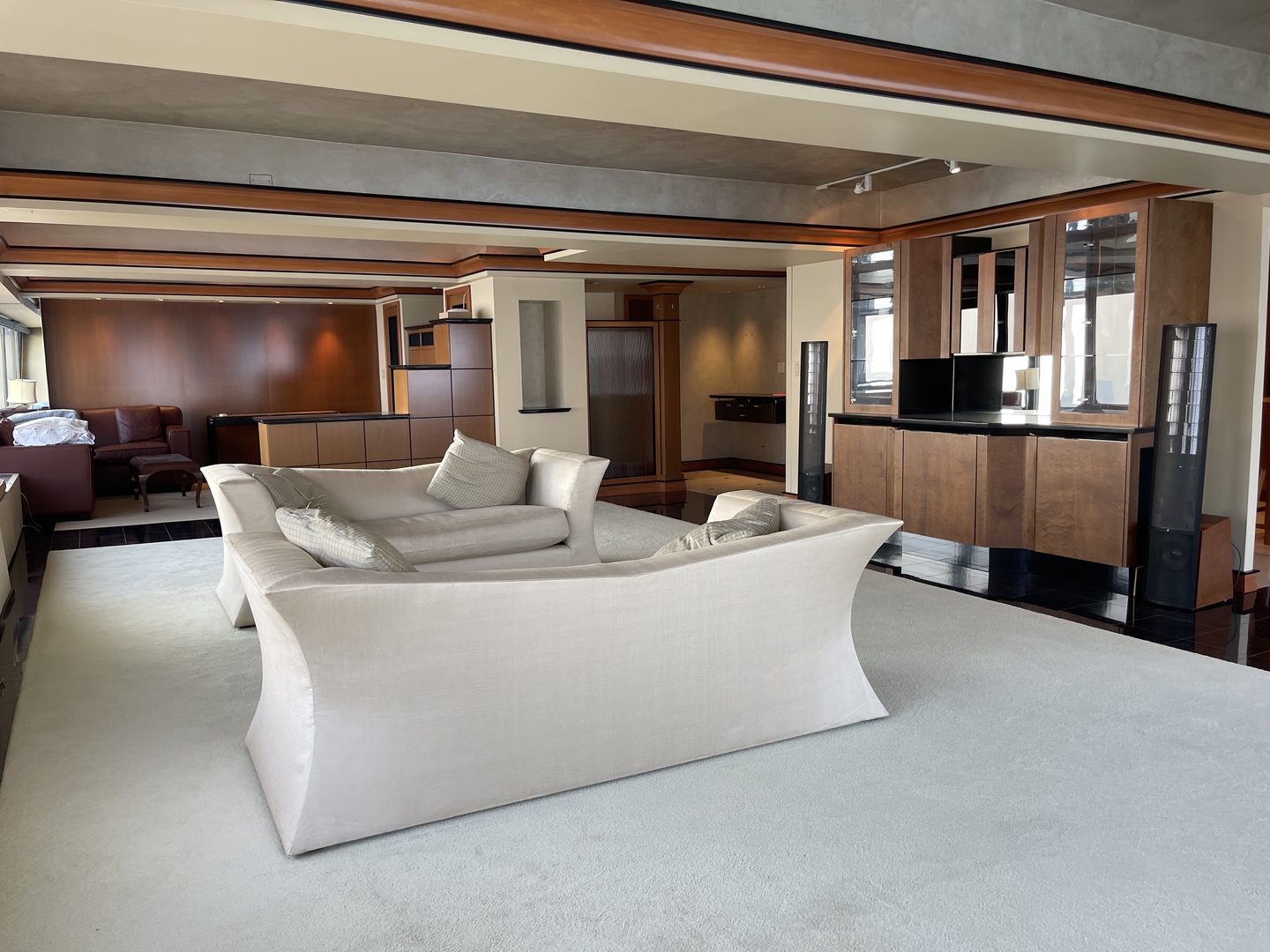 175 E Delaware Place 9007 Property Photo 9