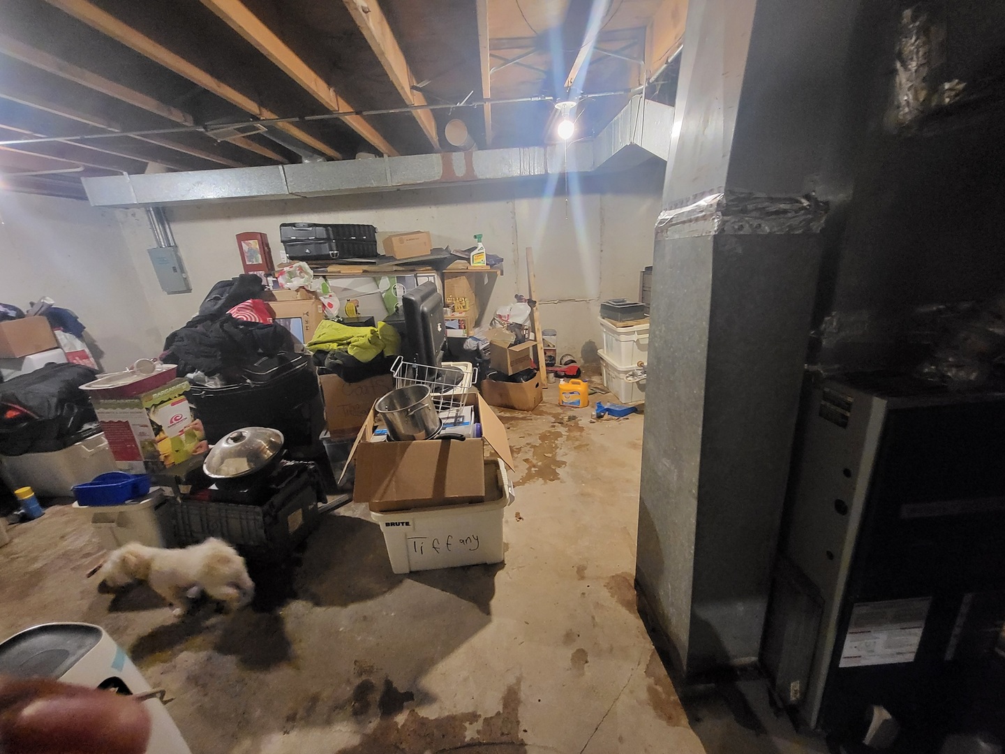 4024 W Washington Boulevard Property Photo 15