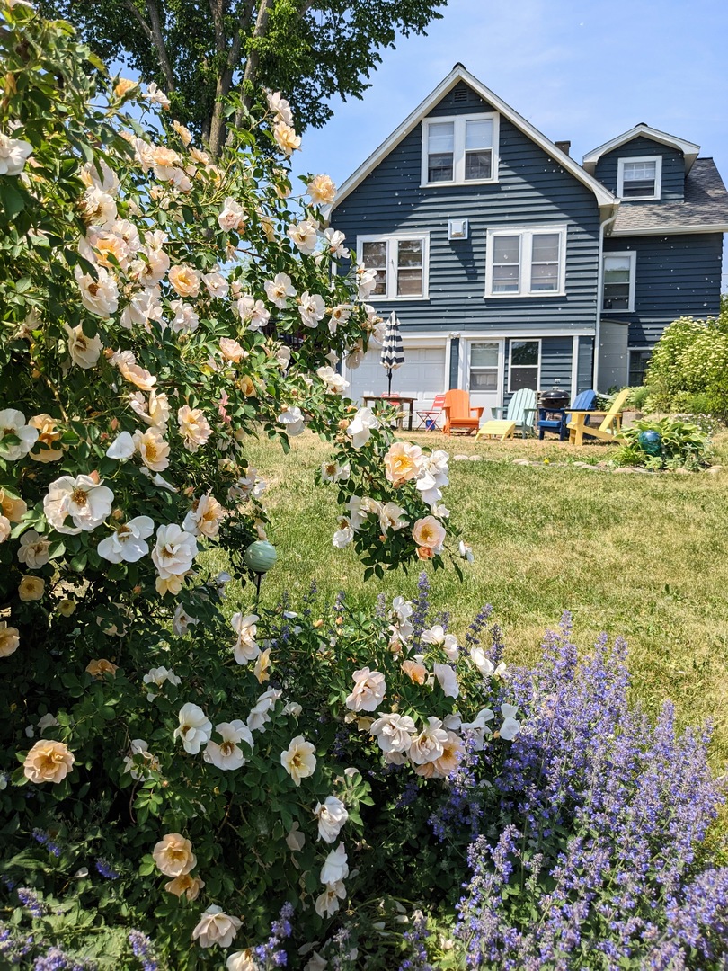 36603 N Iola Ave Property Photo 37