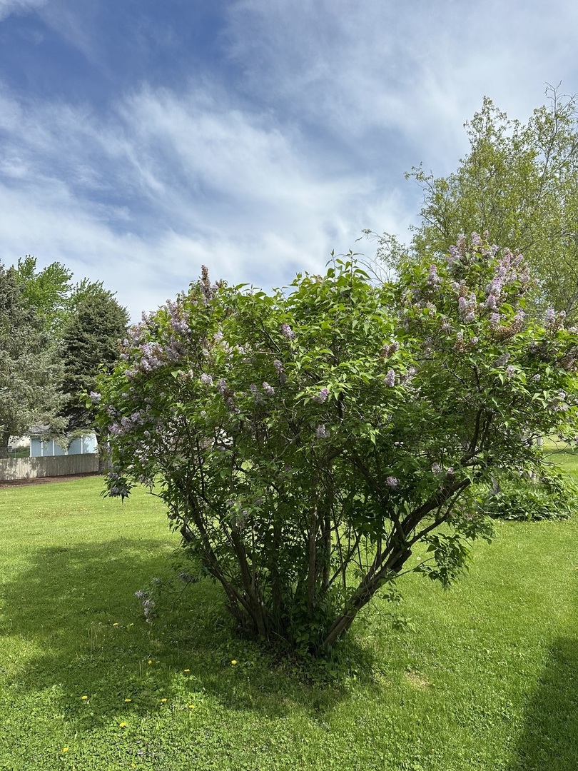 1665 Hilda Drive Property Photo 27