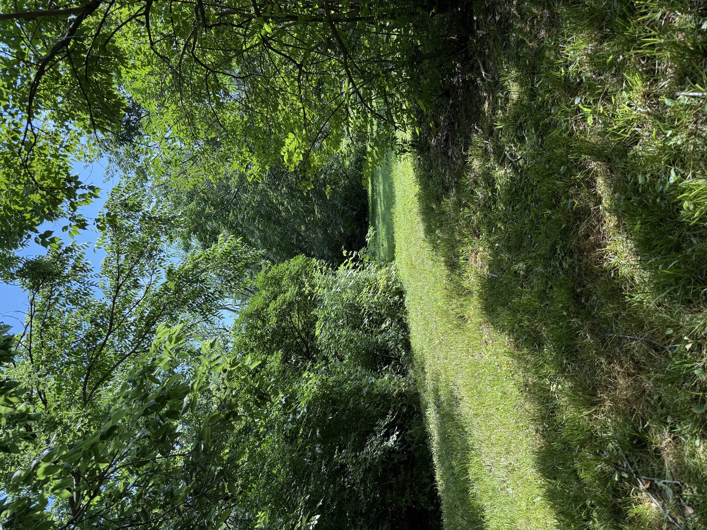 Lot 63 And 78 Cobble Creek Lane Property Photo 3
