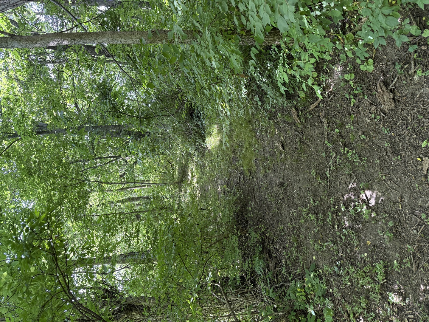 Lot 63 And 78 Cobble Creek Lane Property Photo 5
