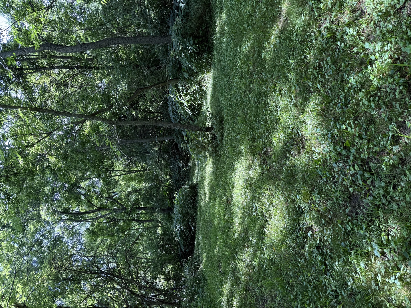 Lot 63 And 78 Cobble Creek Lane Property Photo 6