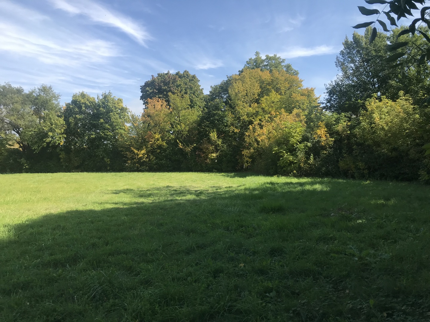 136 Grant Street Property Photo 2