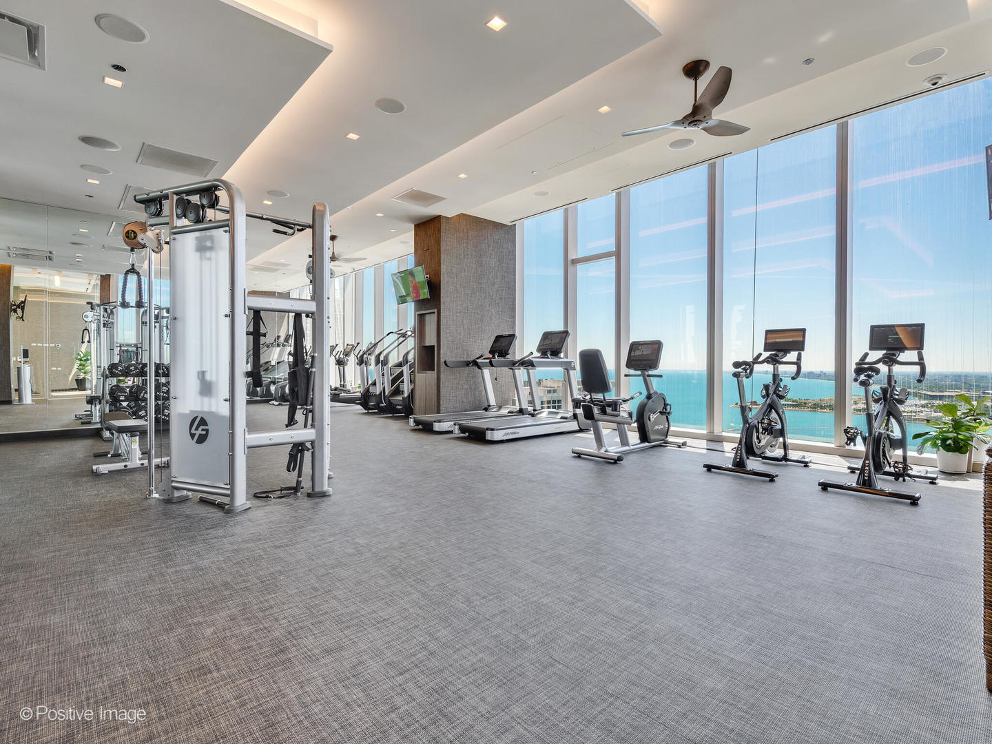 363 E Wacker Drive 1408 Property Photo 2