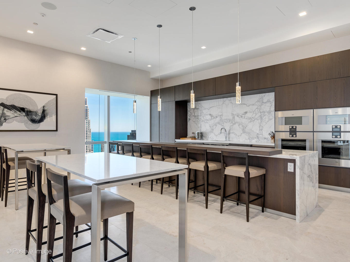 363 E Wacker Drive 1408 Property Photo 5