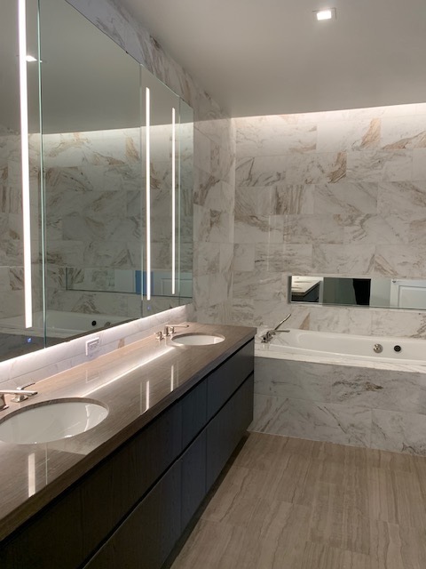 363 E Wacker Drive 1408 Property Photo 13