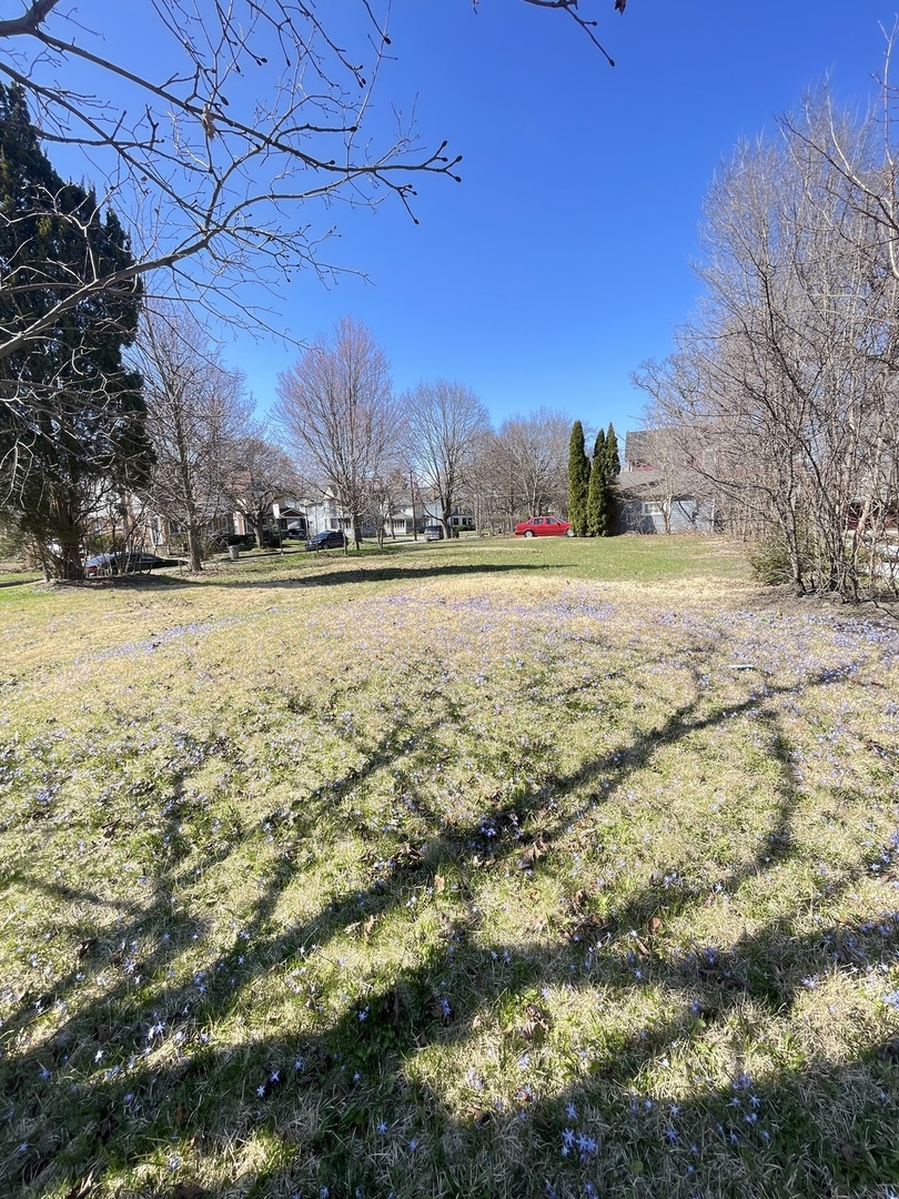 552 E Chicago Street Property Photo 12