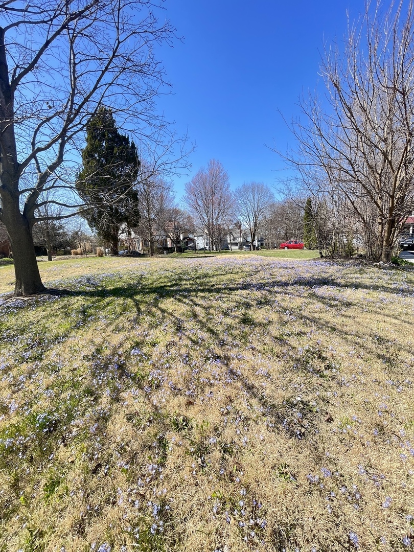 552 E Chicago Street Property Photo 13