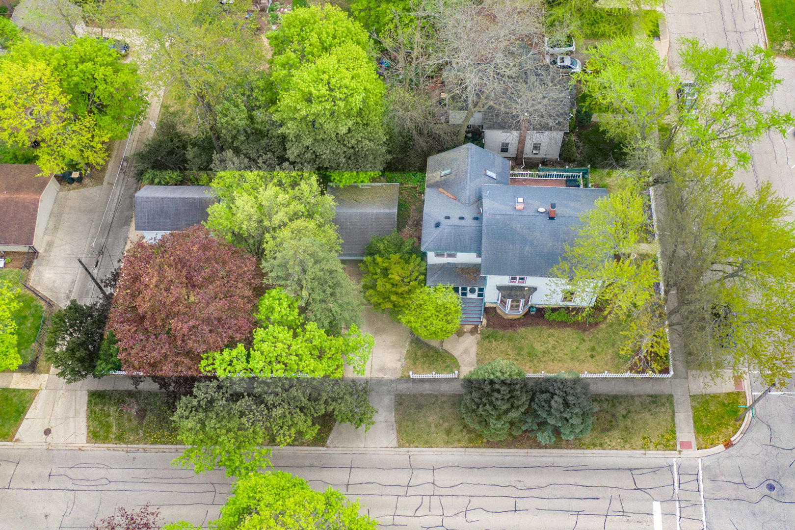 203 High Street Property Photo 66