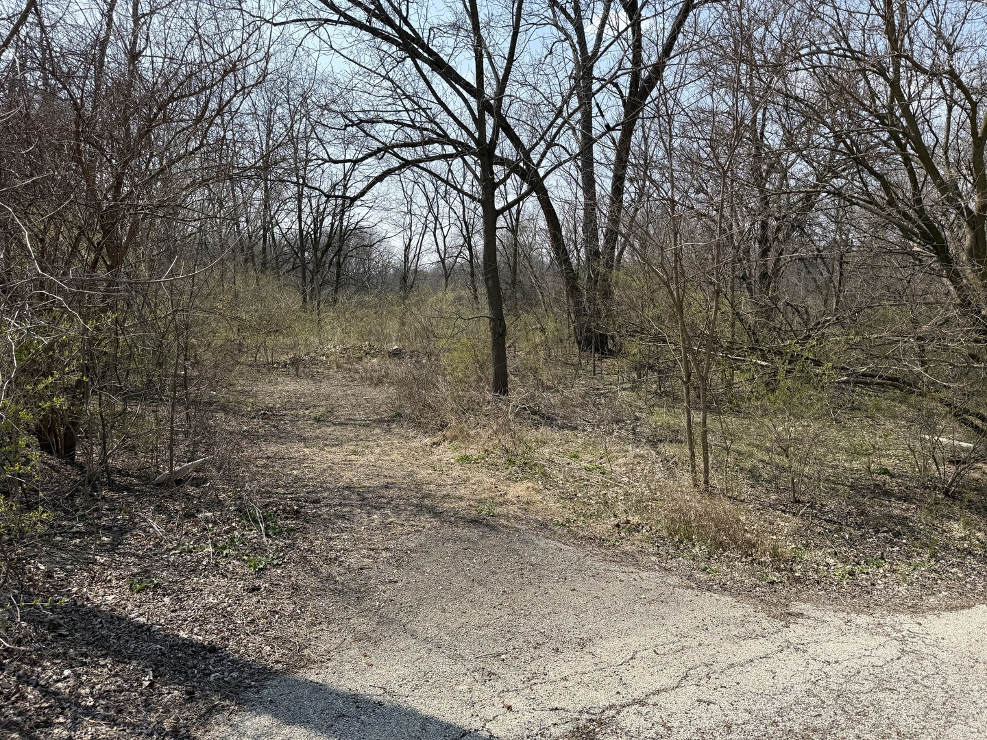 123 W Benton Street Property Photo