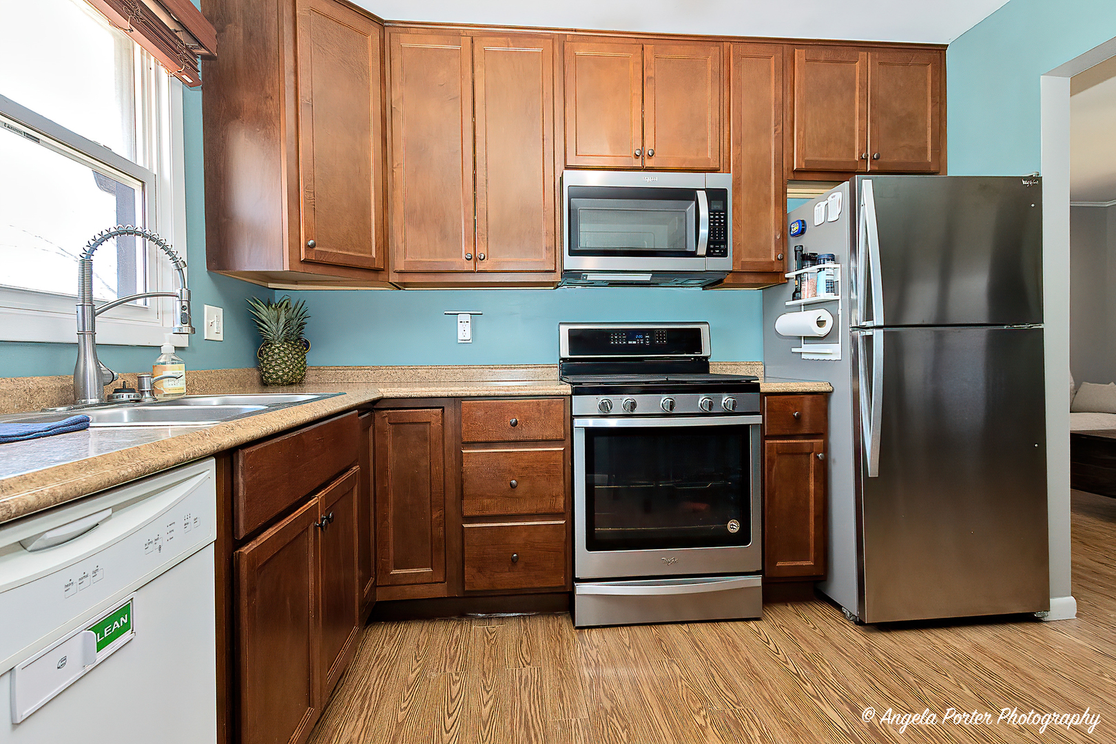 36665 N Mary Drive Property Photo 6